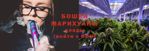 ПСИЛОЦИБИНОВЫЕ ГРИБЫ Абаза